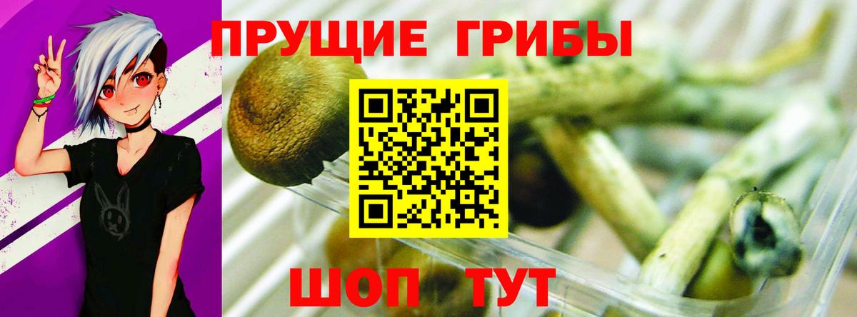 Псилоцибиновые грибы Cubensis  Галлюциногенные грибы Magic Shrooms  Вход с VPN  Шарыпово 