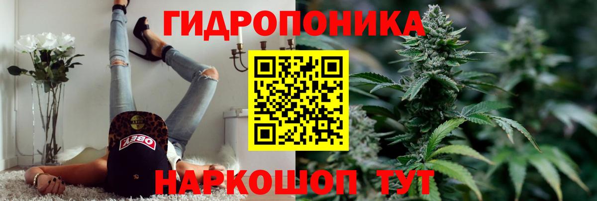 Шарыпово  МАРИХУАНА конопля  Марихуана сатива  Вход с VPN 